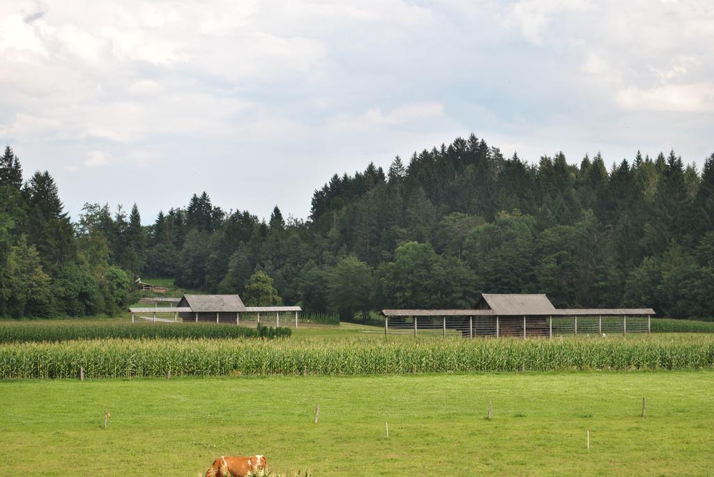 Farm Holidays Povsin Блед Экстерьер фото